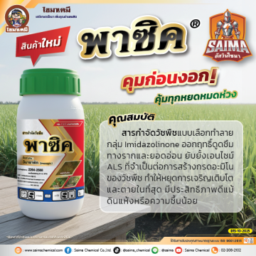 Artboard 1 copy 5AW พาซิค SI ปี68 Web